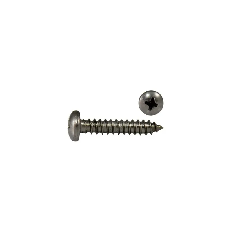DIN 7981 Linsenkopf - Blechschrauben A2 - PZ - 4,2x50 - 200 Stück Schnäppchen