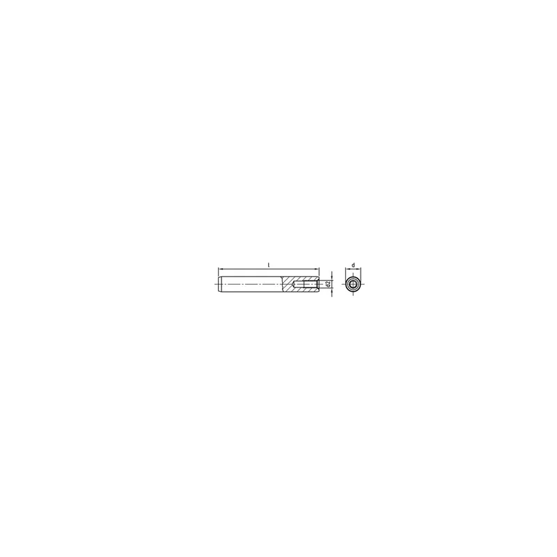 Schneller Versand ISO 8733 1.4305 10X22 - Zylinderstifte mit Innengewinde - 50 St