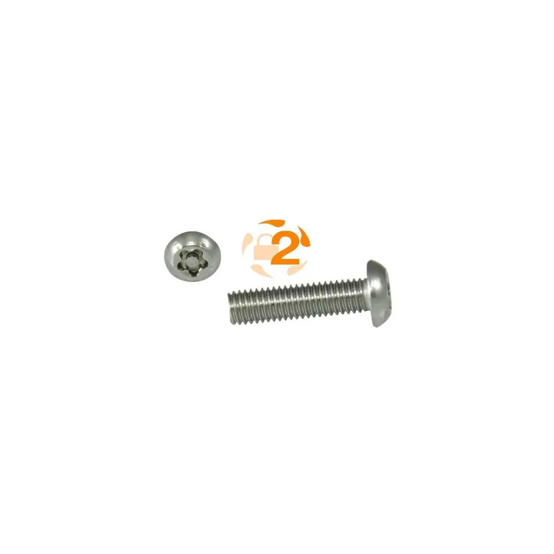 Abverkauf Sicherheitsschrauben 5-Lobe - M8x25 - Halbrundkopf - 5-Stern - A2 - 10 Stück