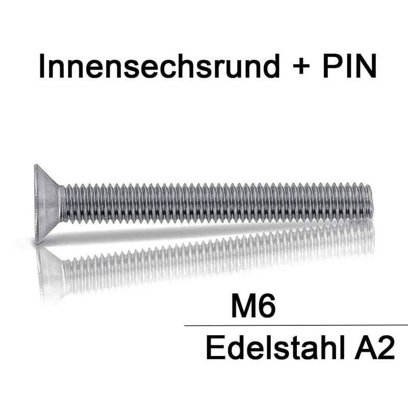 Ausverkauf Sicherheitsschrauben Resis Torx - M6x60 - Senkkopf - Pin-Torx - A2 - 10 Stück