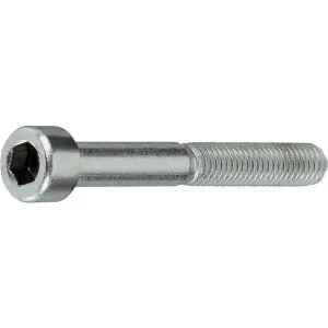 Zylinderschrauben mit Innensechskant 8.8 DIN EN ISO 4762 galv. verzinkt DIN 912 - 12 x 20 - 100 Stk Expressversand