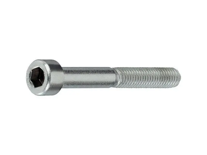 Zylinderschrauben mit Innensechskant 8.8 DIN EN ISO 4762 galv. verzinkt DIN 912 - 12 x 20 - 100 Stk Expressversand