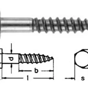 Top-Angebot Eternitschrauben (ähnlich DIN 571) feuerverzinkt (tzn) - 7 x 100 - 100 Stk