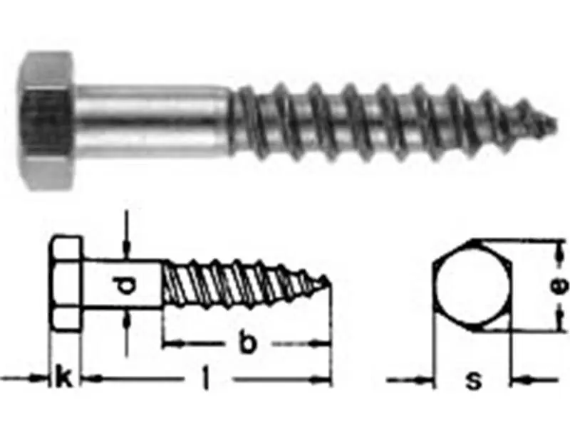 Top-Angebot Eternitschrauben (ähnlich DIN 571) feuerverzinkt (tzn) - 7 x 100 - 100 Stk